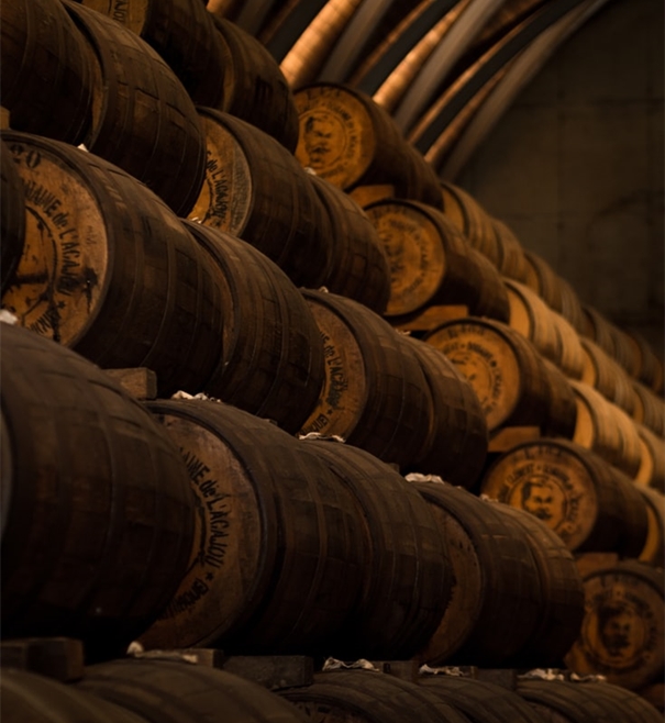 廈門智利葡萄酒進(jìn)口代理清關(guān)公司 廈門智利葡萄酒進(jìn)口代理清關(guān)公司