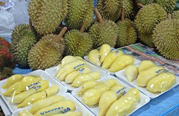 進口泰國新鮮榴蓮報關(guān)流程手續(xù) 進口泰國新鮮榴蓮報關(guān)流程手續(xù)