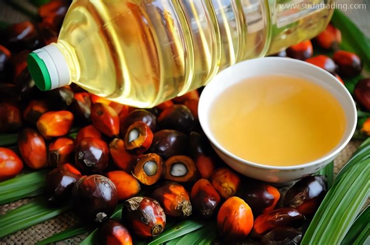 棕櫚油進(jìn)口關(guān)稅是多少棕櫚油進(jìn)口報(bào)關(guān)稅率 棕櫚油進(jìn)口關(guān)稅是多少棕櫚油進(jìn)口報(bào)關(guān)稅率