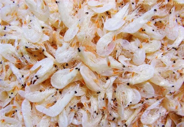 進(jìn)口蝦皮清關(guān)公司告訴你蝦皮報(bào)關(guān)清關(guān)注意事項(xiàng) 進(jìn)口蝦皮清關(guān)公司告訴你蝦皮報(bào)關(guān)清關(guān)注意事項(xiàng)