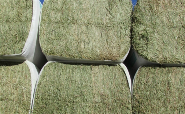 進(jìn)口飼料清關(guān)需要哪些資質(zhì) 進(jìn)口飼料清關(guān)需要哪些資質(zhì)