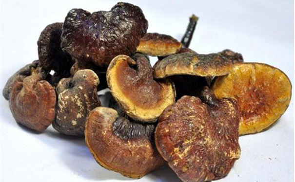 進(jìn)口靈芝清關(guān)所需的文件以及資質(zhì) 進(jìn)口靈芝清關(guān)所需的文件以及資質(zhì)