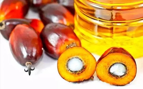 你要了解的進口棕櫚油清關的流程在這里 你要了解的進口棕櫚油清關的流程在這里