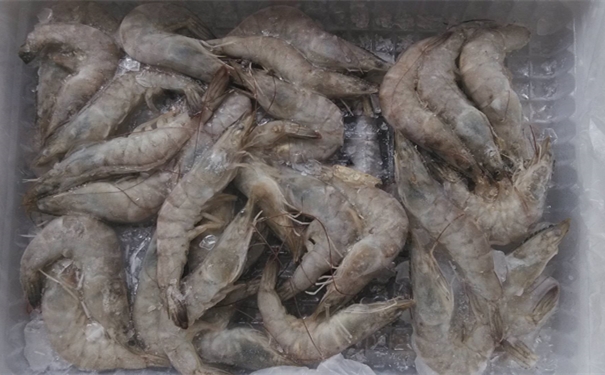 上海進(jìn)口馬來(lái)西亞冷凍蝦報(bào)關(guān)所需費(fèi)用有哪些 上海進(jìn)口馬來(lái)西亞冷凍蝦報(bào)關(guān)所需費(fèi)用有哪些