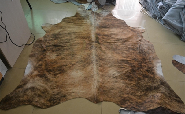 牛皮進口報關的流程以及所需資料 牛皮進口報關的流程以及所需資料