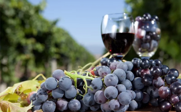 進(jìn)口紅葡萄酒代理報(bào)關(guān)申報(bào)要素以及稅率 進(jìn)口紅葡萄酒代理報(bào)關(guān)申報(bào)要素以及稅率