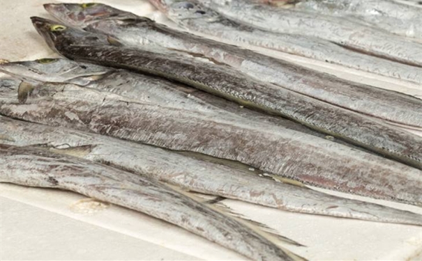 巴基斯坦白帶魚進口報關所需文件以及流程