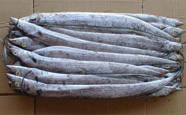 巴基斯坦白帶魚進口報關所需文件以及流程