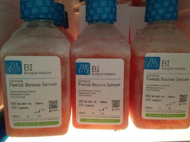 生物制品進(jìn)口清關(guān)代理需要多長(zhǎng)時(shí)間 生物制品進(jìn)口清關(guān)代理需要多長(zhǎng)時(shí)間