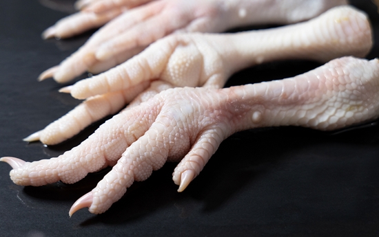 雞爪代理進口清關(guān)需要注意什么?雞爪代理進口公司 雞爪代理進口清關(guān)需要注意什么?雞爪代理進口公司