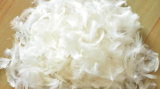 鴨毛進(jìn)口報關(guān)，給大家普及一下相關(guān)知識