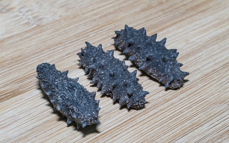 仿刺參進(jìn)口報關(guān)檢驗檢疫需要的資料 仿刺參進(jìn)口報關(guān)檢驗檢疫需要的資料