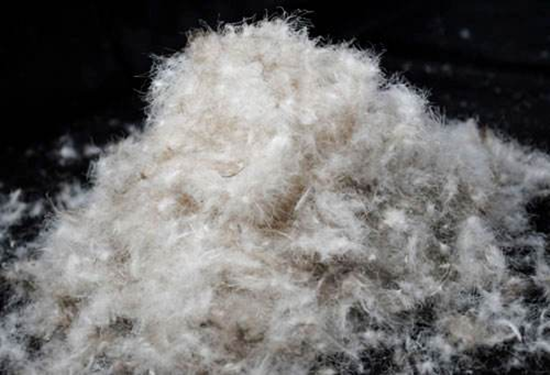 鴨絨進(jìn)口報(bào)關(guān)一站式流程及報(bào)關(guān)關(guān)稅 鴨絨進(jìn)口報(bào)關(guān)一站式流程及報(bào)關(guān)關(guān)稅