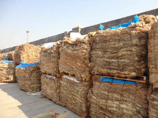 鹽濕皮進(jìn)口報(bào)關(guān)一站式流程，鹽濕皮進(jìn)口報(bào)關(guān)這樣做