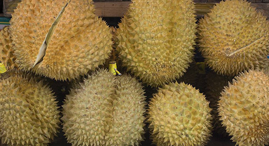 泰國(guó)進(jìn)口榴蓮報(bào)關(guān)的注意事項(xiàng)，你一定要了解的
