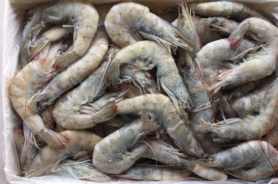 印度白蝦進(jìn)口報(bào)關(guān)稅率及報(bào)關(guān)技巧 印度白蝦進(jìn)口報(bào)關(guān)稅率及報(bào)關(guān)技巧