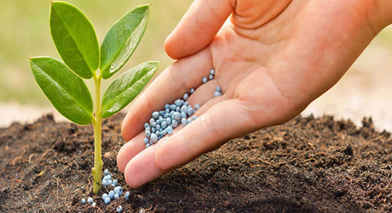 超實(shí)用！農(nóng)作物肥料進(jìn)口清關(guān)流程以及單證資料