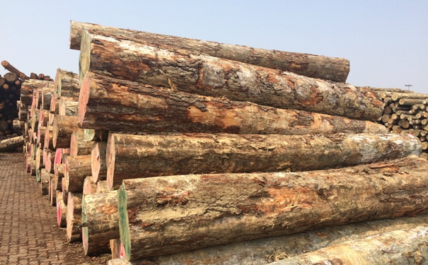 原木進(jìn)口清關(guān)上海代理公司-國(guó)內(nèi)外需提供的清關(guān)資料 原木進(jìn)口清關(guān)上海代理公司-國(guó)內(nèi)外需提供的清關(guān)資料