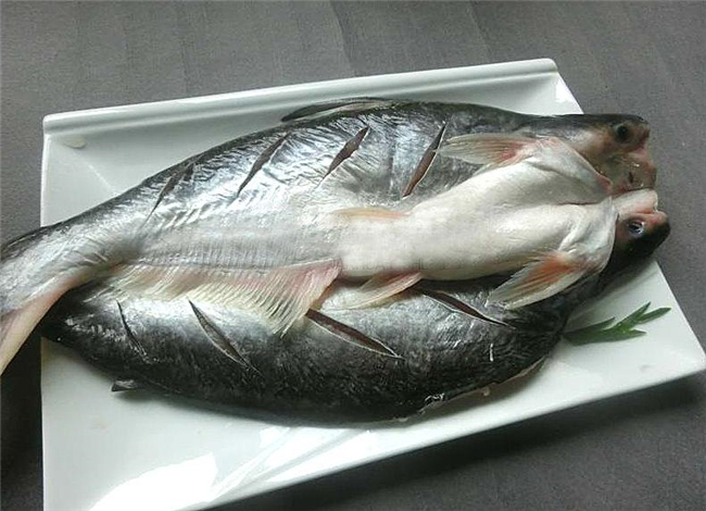 指導(dǎo)!初次冷凍巴沙魚進(jìn)口報關(guān)應(yīng)該這樣做 指導(dǎo)!初次冷凍巴沙魚進(jìn)口報關(guān)應(yīng)該這樣做