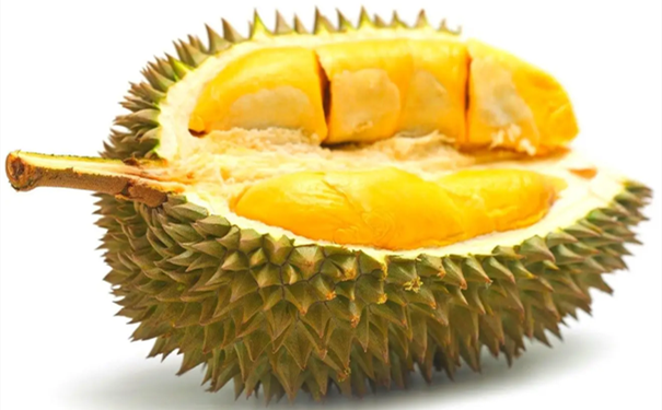 進口馬來西亞榴蓮清關(guān)要注意什么呢 進口馬來西亞榴蓮清關(guān)要注意什么呢