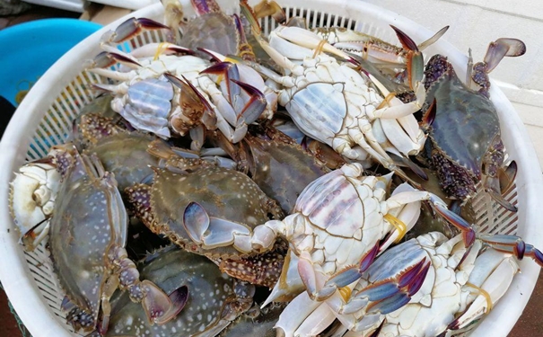 冷凍蟹進(jìn)口報關(guān)一般貿(mào)易流程 冷凍蟹進(jìn)口報關(guān)一般貿(mào)易流程