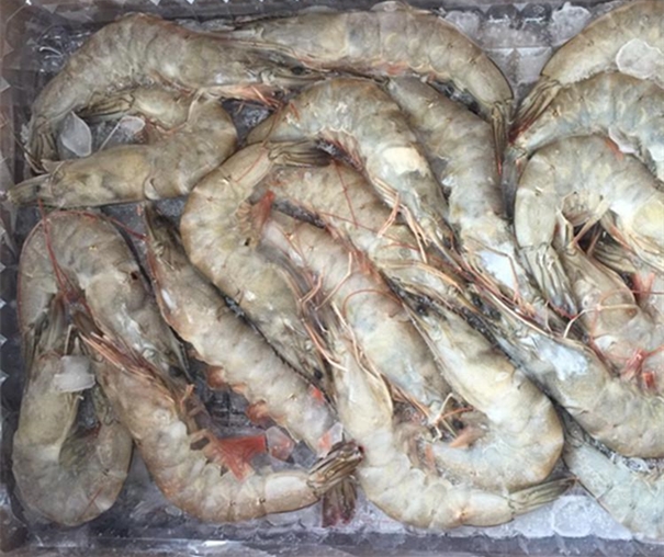 冷凍長(zhǎng)額蝦進(jìn)口報(bào)關(guān)注意事項(xiàng)有哪些 冷凍長(zhǎng)額蝦進(jìn)口報(bào)關(guān)注意事項(xiàng)有哪些