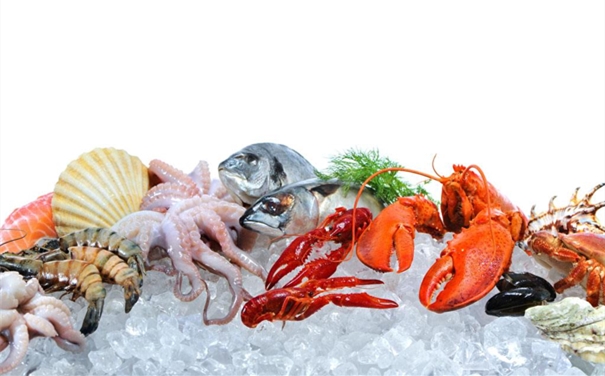 巴拿馬冷凍海鮮進口報關(guān)費用