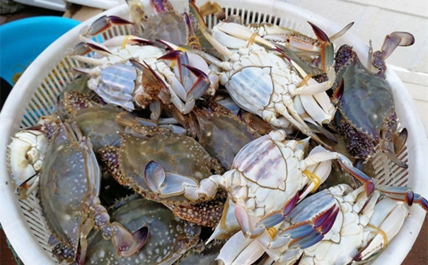 冷凍梭子蟹進(jìn)口報(bào)關(guān)的流程手續(xù)復(fù)雜嗎? 冷凍梭子蟹進(jìn)口報(bào)關(guān)的流程手續(xù)復(fù)雜嗎?