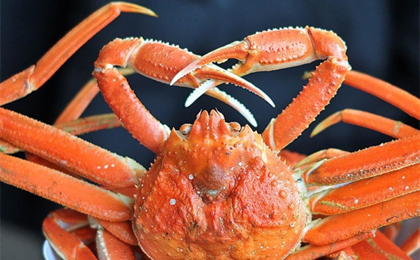 冷凍雪蟹進(jìn)口報(bào)關(guān)代理公司如何成功報(bào)關(guān)冰凍雪蟹 冷凍雪蟹進(jìn)口報(bào)關(guān)代理公司如何成功報(bào)關(guān)冰凍雪蟹