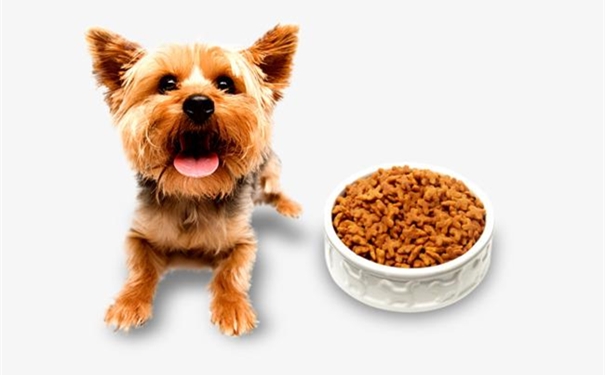 一篇搞懂美國進口寵物糧食清關(guān)代理一站式服務(wù)流程 一篇搞懂美國進口寵物糧食清關(guān)代理一站式服務(wù)流程