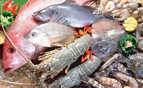 冷凍海鮮進(jìn)口所需流程 冷凍海鮮進(jìn)口所需流程