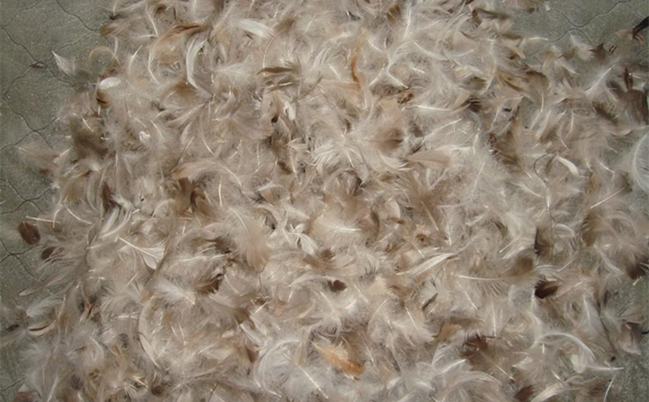 鴨毛進(jìn)口清關(guān)一般貿(mào)易進(jìn)口流程 鴨毛進(jìn)口清關(guān)一般貿(mào)易進(jìn)口流程