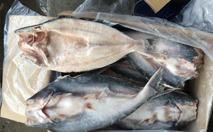 進(jìn)口巴沙魚(yú)清關(guān)代理一點(diǎn)都不難，只要你準(zhǔn)備好這些資料