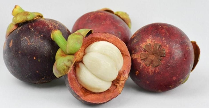 【馬來(lái)西亞山竹進(jìn)口清關(guān)代理公司】指導(dǎo)您如何進(jìn)口山竹 【馬來(lái)西亞山竹進(jìn)口清關(guān)代理公司】指導(dǎo)您如何進(jìn)口山竹