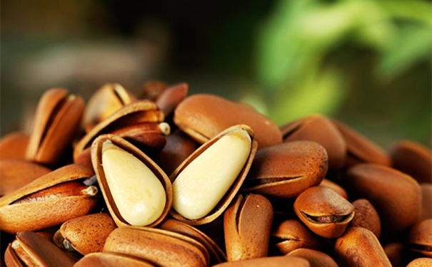 松子進(jìn)口清關(guān)代理公司告訴您進(jìn)口松子的流程 松子進(jìn)口清關(guān)代理公司告訴您進(jìn)口松子的流程