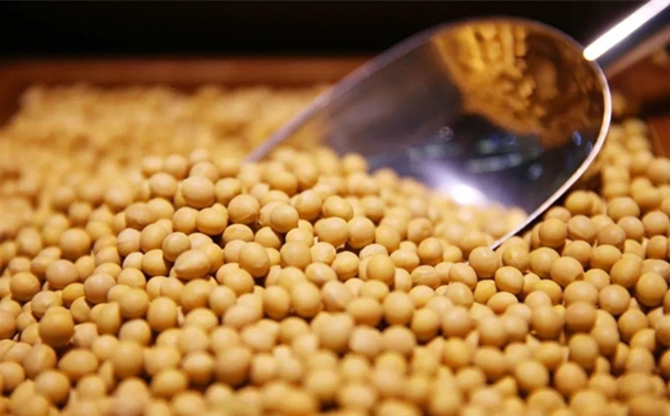 【大豆進(jìn)口清關(guān)代理】的流程，一般貿(mào)易進(jìn)口大豆