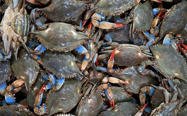 非洲【進口青蟹清關(guān)代理】的流程，一般貿(mào)易進口青蟹