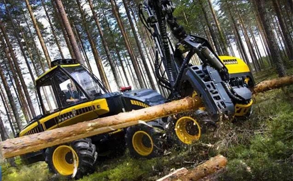 【進口伐木機清關代理】的流程，一般貿(mào)易進口伐木機