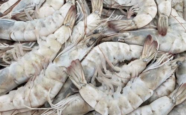 厄瓜多爾蝦仁進(jìn)口清關(guān)一般貿(mào)易流程以及資料 厄瓜多爾蝦仁進(jìn)口清關(guān)一般貿(mào)易流程以及資料