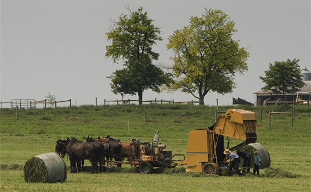 二手農(nóng)用收割機進口報關報檢要點?二手收割機能進口嗎? 二手農(nóng)用收割機進口報關報檢要點?二手收割機能進口嗎?