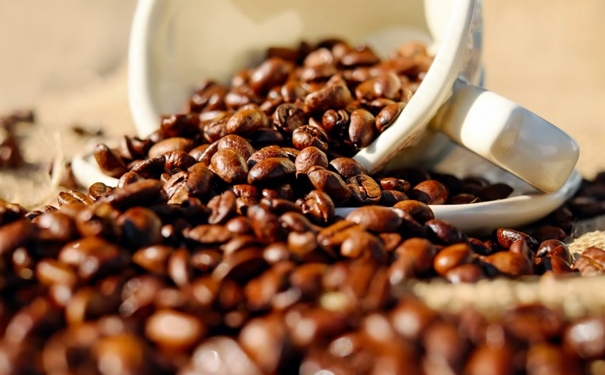 加拿大咖啡豆進(jìn)口報(bào)關(guān)的流程以及資料是怎樣的 加拿大咖啡豆進(jìn)口報(bào)關(guān)的流程以及資料是怎樣的