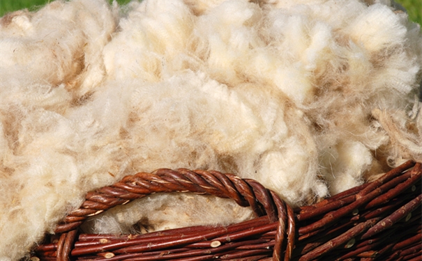 進(jìn)口羊毛報關(guān)一般貿(mào)易進(jìn)口流程是怎樣的？