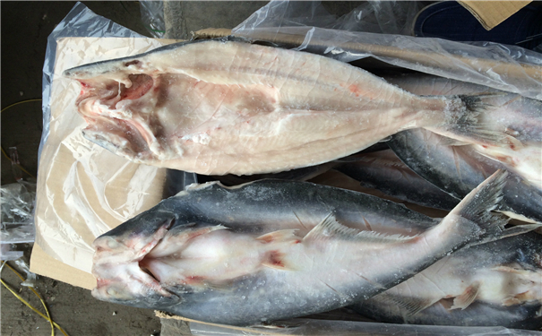 空運(yùn)海鮮進(jìn)口報(bào)關(guān)一般貿(mào)易進(jìn)口需要注意這些，來看看? 