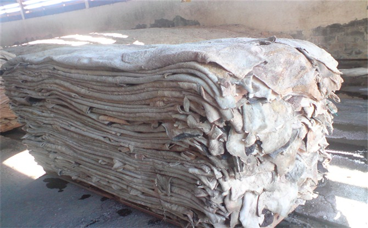 鹽濕牛羊皮進(jìn)口報(bào)關(guān)流程|進(jìn)口生牛皮注意事項(xiàng) 鹽濕牛羊皮進(jìn)口報(bào)關(guān)流程|進(jìn)口生牛皮注意事項(xiàng)