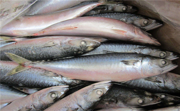 俄羅斯水產(chǎn)品進(jìn)口報(bào)關(guān)公司，聯(lián)網(wǎng)助你快速通關(guān)!