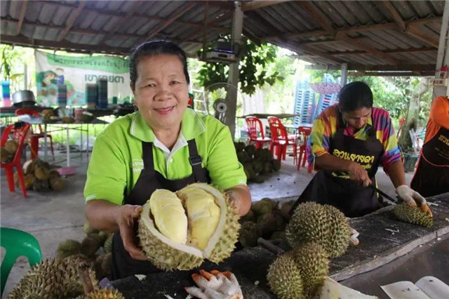進(jìn)口泰國榴蓮報(bào)關(guān)這樣操作準(zhǔn)沒錯(cuò) 進(jìn)口泰國榴蓮報(bào)關(guān)這樣操作準(zhǔn)沒錯(cuò)