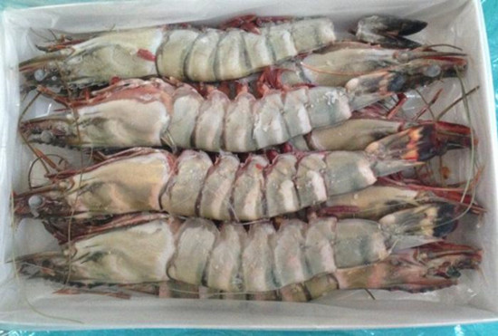 廣東速達(dá)多年經(jīng)驗(yàn)告訴您寧波進(jìn)口南美對(duì)蝦進(jìn)口報(bào)關(guān)清關(guān)注意事項(xiàng)-海鮮報(bào)關(guān) 廣東速達(dá)多年經(jīng)驗(yàn)告訴您寧波進(jìn)口南美對(duì)蝦進(jìn)口報(bào)關(guān)清關(guān)注意事項(xiàng)-海鮮報(bào)關(guān)