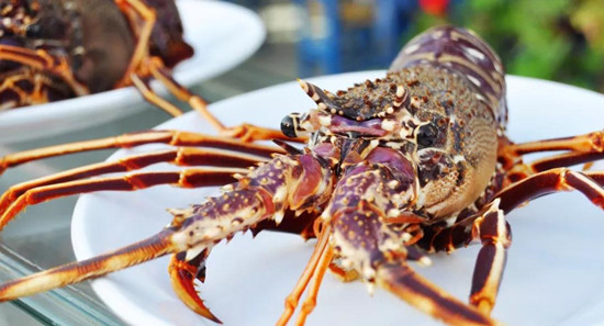 澳洲龍蝦進(jìn)口報(bào)關(guān)清關(guān)如何操作?還不來了解一下? 澳洲龍蝦進(jìn)口報(bào)關(guān)清關(guān)如何操作?還不來了解一下?