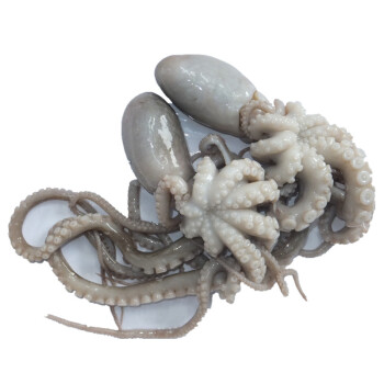 大連海鮮八爪魚進口報關(guān)清關(guān)一站式服務(wù) 大連海鮮八爪魚進口報關(guān)清關(guān)一站式服務(wù)