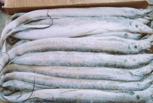 一站式冷凍水產(chǎn)品進口報關單證及通關流程